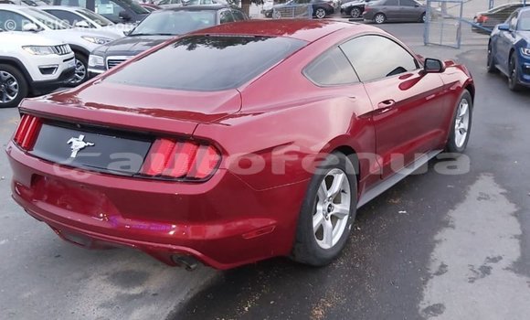 Acheter Import Voiture Ford Mustang Rouge à Import - Dubai, Marquesas Acheter Import Voiture Ford Mustang Rouge à Import - Dubai, Marquesas