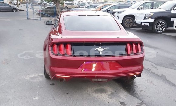 Acheter Import Voiture Ford Mustang Rouge à Import - Dubai, Marquesas Acheter Import Voiture Ford Mustang Rouge à Import - Dubai, Marquesas