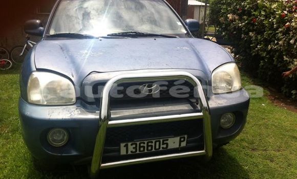 Acheter Occasion Voiture Hyundai Santa Autre à Taipivai, Marquesas