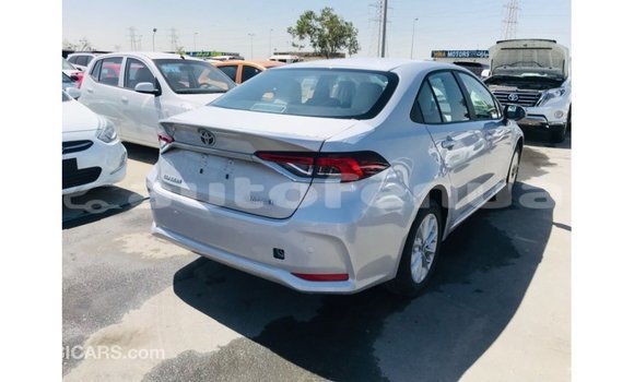 Buy Import Toyota Corolla White Car in Import - Dubai in Marquesas Buy Import Toyota Corolla White Car in Import - Dubai in Marquesas