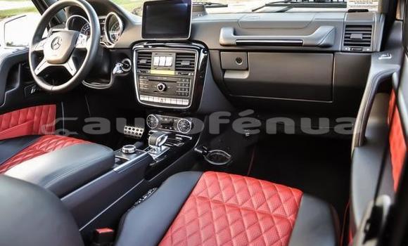 Acheter Occasion Voiture Mercedes-Benz G-klasse Blanc à Anatonu, Tubuai Acheter Occasion Voiture Mercedes-Benz G-klasse Blanc à Anatonu, Tubuai