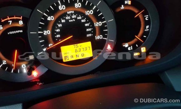 Acheter Import Voiture Toyota RAV4 Rouge à Import - Dubai, Marquesas Acheter Import Voiture Toyota RAV4 Rouge à Import - Dubai, Marquesas