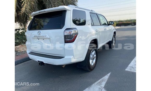 Acheter Import Voiture Toyota 4Runner Blanc à Import - Dubai, Marquesas Acheter Import Voiture Toyota 4Runner Blanc à Import - Dubai, Marquesas