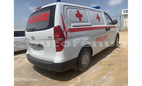 Buy Import Hyundai Chorus White Truck in Import - Dubai in Marquesas Buy Import Hyundai Chorus White Truck in Import - Dubai in Marquesas