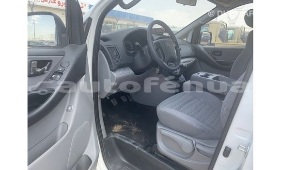 Buy Import Hyundai Chorus White Truck in Import - Dubai in Marquesas Buy Import Hyundai Chorus White Truck in Import - Dubai in Marquesas