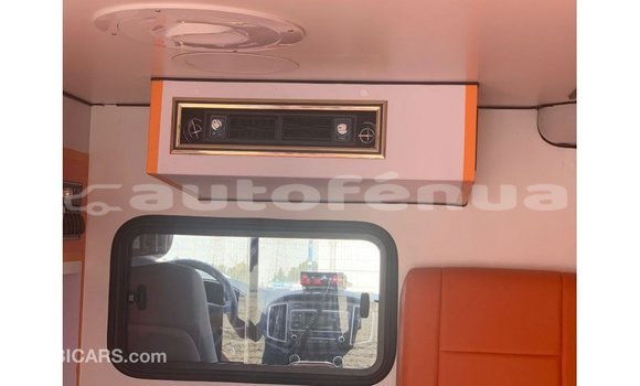 Buy Import Hyundai Chorus White Truck in Import - Dubai in Marquesas Buy Import Hyundai Chorus White Truck in Import - Dubai in Marquesas