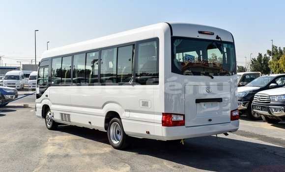 Acheter Import Voiture Toyota Coaster Blanc à Import - Dubai, Marquesas Acheter Import Voiture Toyota Coaster Blanc à Import - Dubai, Marquesas