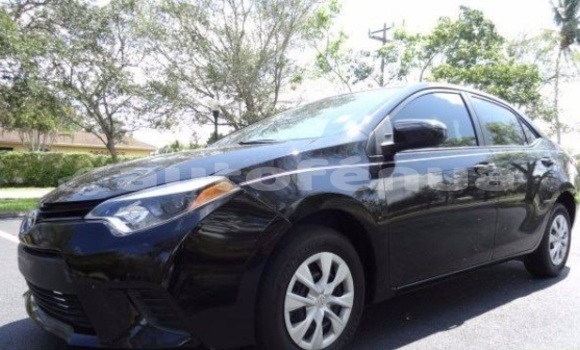 Buy Used Toyota Corolla Other Car in Hakahao in Marquesas