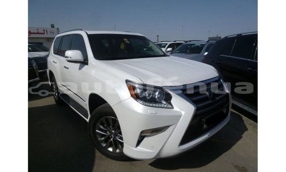 Acheter Import Voiture Lexus GX Blanc à Import - Dubai, Marquesas