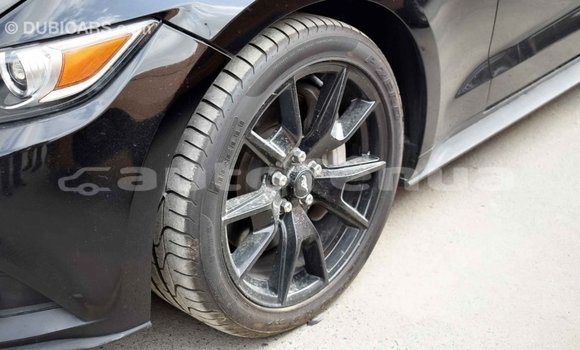 Acheter Import Voiture Ford Mustang Noir à Import - Dubai, Marquesas Acheter Import Voiture Ford Mustang Noir à Import - Dubai, Marquesas