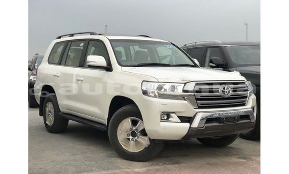 Acheter Import Voiture Toyota Land Cruiser Blanc à Import - Dubai, Marquesas