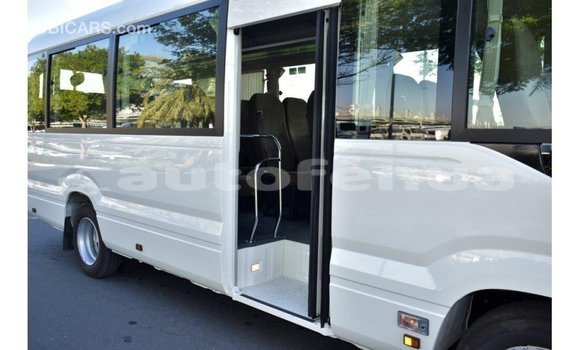 Buy Import Toyota Coaster White Car in Import - Dubai in Marquesas Buy Import Toyota Coaster White Car in Import - Dubai in Marquesas