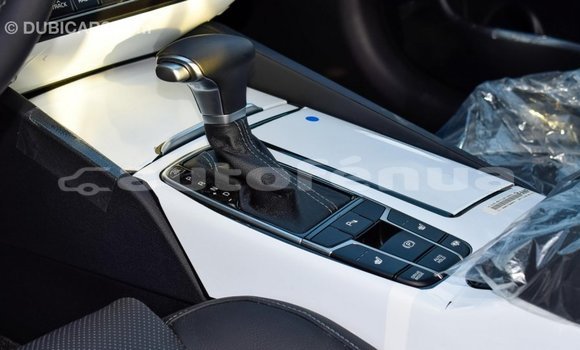 Buy Import Kia Cadenza Other Car in Import - Dubai in Marquesas Buy Import Kia Cadenza Other Car in Import - Dubai in Marquesas