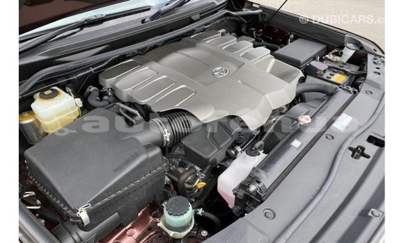 Buy Import Toyota Land Cruiser Red Car in Import - Dubai in Marquesas Buy Import Toyota Land Cruiser Red Car in Import - Dubai in Marquesas