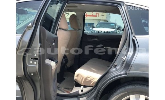 Buy Import Honda C Other Bike in Import - Dubai in Marquesas Buy Import Honda C Other Bike in Import - Dubai in Marquesas