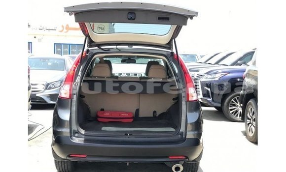 Buy Import Honda C Other Bike in Import - Dubai in Marquesas Buy Import Honda C Other Bike in Import - Dubai in Marquesas