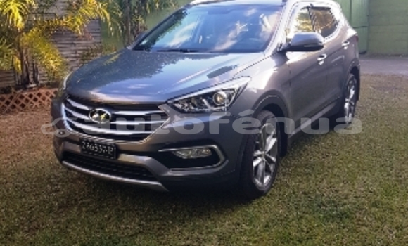 Acheter Occasion Voiture Hyundai Santa Autre à Mahu, Tubuai