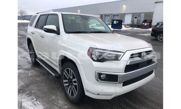 Acheter Import Voiture Toyota 4Runner Blanc à Import - Dubai, Marquesas Acheter Import Voiture Toyota 4Runner Blanc à Import - Dubai, Marquesas