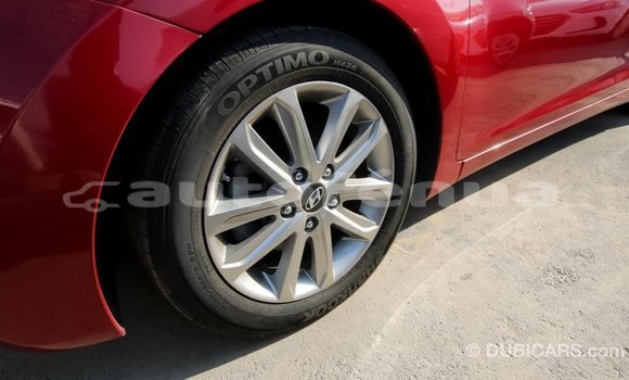 Medium with watermark 132051ff 52bc 4463 843f 4c28cb51b901