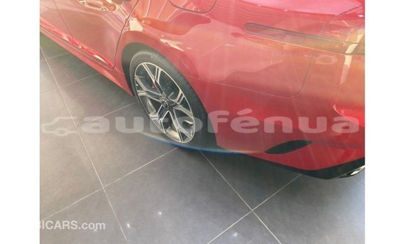Buy Import Kia Stinger Red Car in Import - Dubai in Marquesas Buy Import Kia Stinger Red Car in Import - Dubai in Marquesas