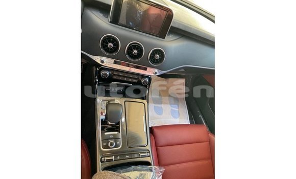 Buy Import Kia Stinger Red Car in Import - Dubai in Marquesas Buy Import Kia Stinger Red Car in Import - Dubai in Marquesas