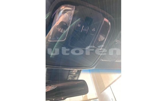 Buy Import Kia Stinger Red Car in Import - Dubai in Marquesas Buy Import Kia Stinger Red Car in Import - Dubai in Marquesas