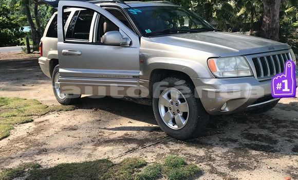 Acheter Occasion Voiture Jeep Grand Cherokee Autre à Fatu–Hiva, Marquesas