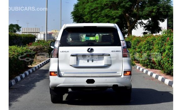 Buy Import Lexus GX White Car in Import - Dubai in Marquesas Buy Import Lexus GX White Car in Import - Dubai in Marquesas