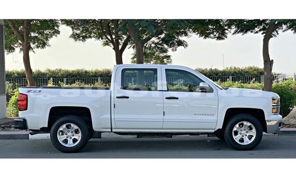 Acheter Import Voiture Chevrolet Silverado Blanc à Import - Dubai, Marquesas Acheter Import Voiture Chevrolet Silverado Blanc à Import - Dubai, Marquesas