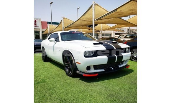 Acheter Import Voiture Dodge Challenger Blanc à Import - Dubai, Marquesas