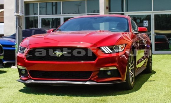 Acheter Import Voiture Ford Mustang Rouge à Import - Dubai, Marquesas