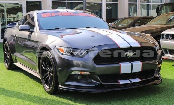 Acheter Import Voiture Ford Mustang Autre à Import - Dubai, Marquesas Acheter Import Voiture Ford Mustang Autre à Import - Dubai, Marquesas