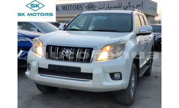 Acheter Import Voiture Toyota Prado Blanc à Import - Dubai, Marquesas