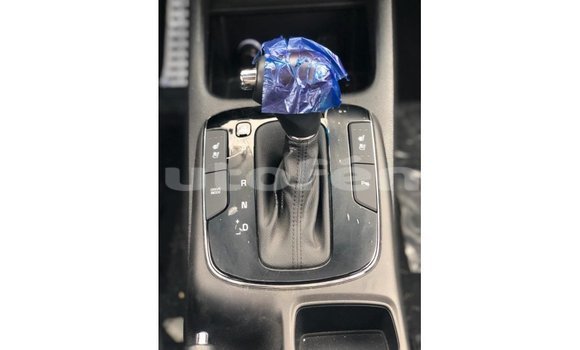 Buy Import Kia Cerato White Car in Import - Dubai in Marquesas Buy Import Kia Cerato White Car in Import - Dubai in Marquesas