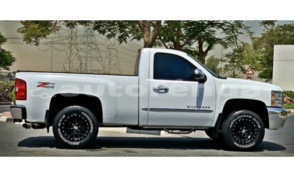 Buy Import Chevrolet Silverado White Car in Import - Dubai in Marquesas Buy Import Chevrolet Silverado White Car in Import - Dubai in Marquesas