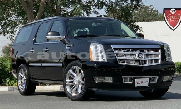Acheter Import Voiture Cadillac Escalade Noir à Import - Dubai, Marquesas