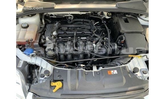 Acheter Import Voiture Ford Focus Blanc à Import - Dubai, Marquesas Acheter Import Voiture Ford Focus Blanc à Import - Dubai, Marquesas