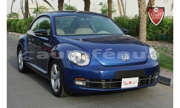 Acheter Import Voiture Volkswagen Beetle Bleu à Import - Dubai, Marquesas