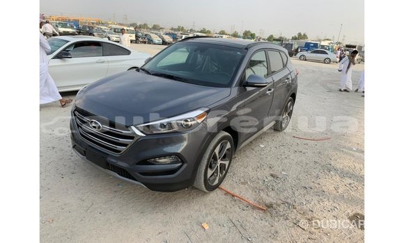 Buy Import Hyundai Tucson Other Car in Import - Dubai in Marquesas Buy Import Hyundai Tucson Other Car in Import - Dubai in Marquesas