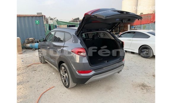 Buy Import Hyundai Tucson Other Car in Import - Dubai in Marquesas Buy Import Hyundai Tucson Other Car in Import - Dubai in Marquesas