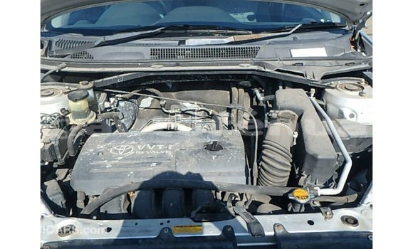 Buy Import Toyota RAV4 Other Car in Import - Dubai in Marquesas Buy Import Toyota RAV4 Other Car in Import - Dubai in Marquesas