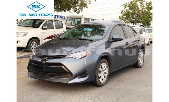 Acheter Import Voiture Toyota Corolla Autre à Import - Dubai, Marquesas Acheter Import Voiture Toyota Corolla Autre à Import - Dubai, Marquesas