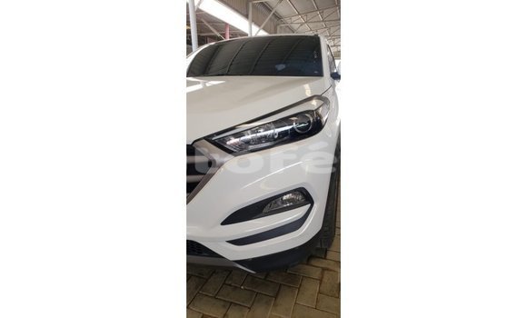 Acheter Import Voiture Hyundai Tucson Blanc à Import - Dubai, Marquesas Acheter Import Voiture Hyundai Tucson Blanc à Import - Dubai, Marquesas