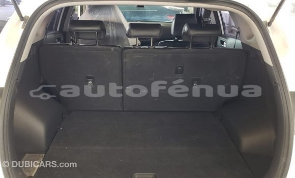 Acheter Import Voiture Hyundai Tucson Blanc à Import - Dubai, Marquesas Acheter Import Voiture Hyundai Tucson Blanc à Import - Dubai, Marquesas