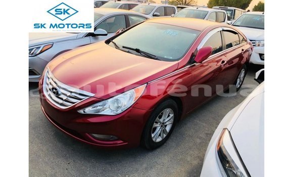 Buy Import Hyundai Sonata Red Car in Import - Dubai in Marquesas