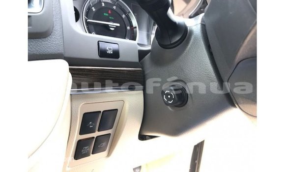 Buy Import Toyota Land Cruiser Black Car in Import - Dubai in Marquesas Buy Import Toyota Land Cruiser Black Car in Import - Dubai in Marquesas