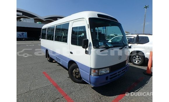 Buy Import Toyota Coaster White Car in Import - Dubai in Marquesas Buy Import Toyota Coaster White Car in Import - Dubai in Marquesas