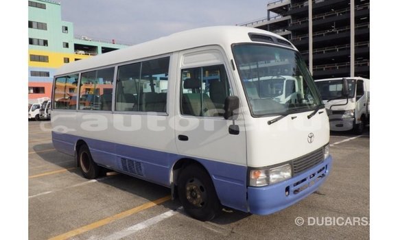 Buy Import Toyota Coaster White Car in Import - Dubai in Marquesas Buy Import Toyota Coaster White Car in Import - Dubai in Marquesas