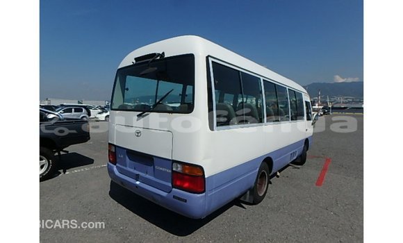 Buy Import Toyota Coaster White Car in Import - Dubai in Marquesas Buy Import Toyota Coaster White Car in Import - Dubai in Marquesas