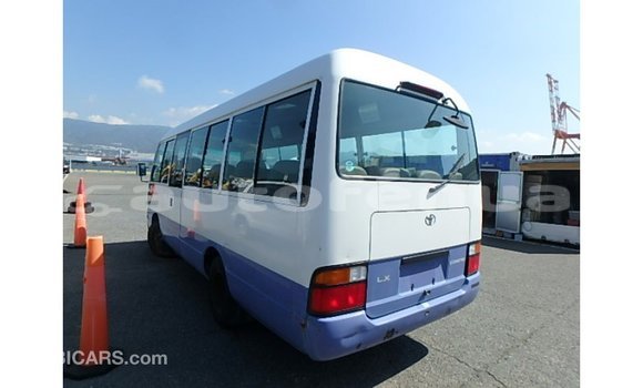 Buy Import Toyota Coaster White Car in Import - Dubai in Marquesas Buy Import Toyota Coaster White Car in Import - Dubai in Marquesas